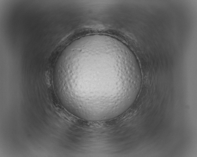 X0000073851205200609071558