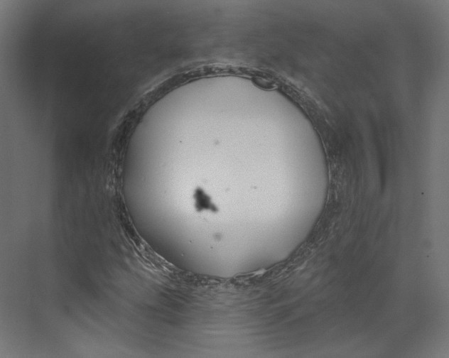 X0000073851207200609071558