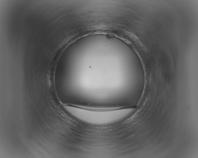 X0000073851209200609071558