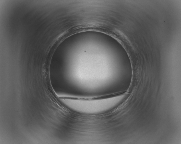 X0000073851210200609071558