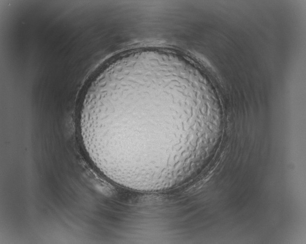 X0000073851212200609071558