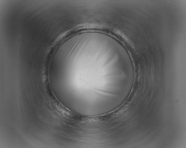 X0000073851213200609071558