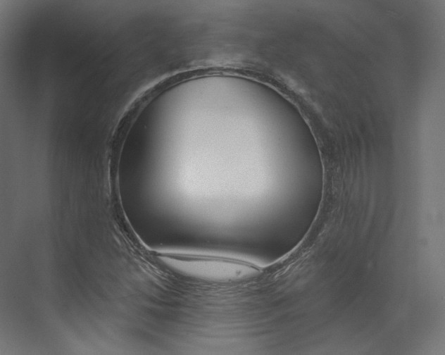 X0000073851214200609071558