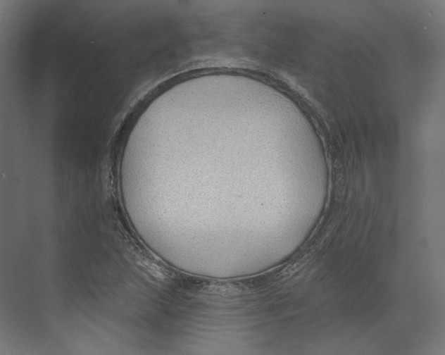 X0000073851215200609071558