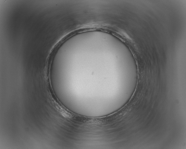 X0000073851216200609071558