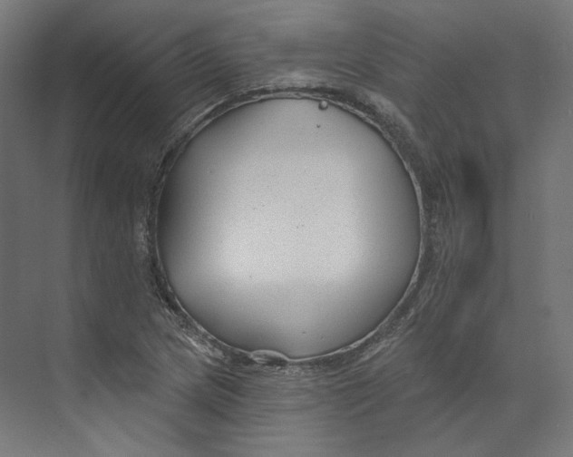 X0000073851217200609071558