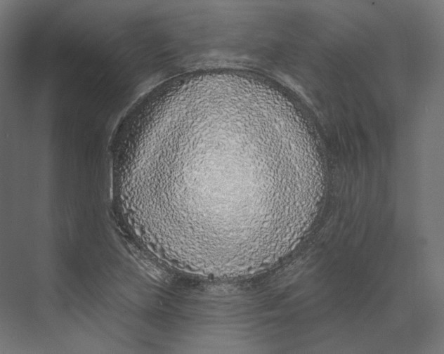 X0000073851219200609071558