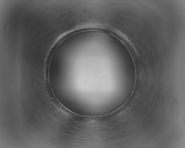 X0000073851222200609071558