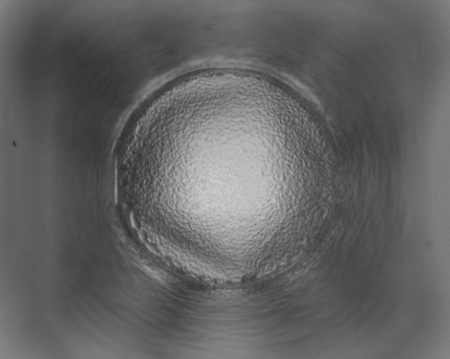 X0000073851223200609071558