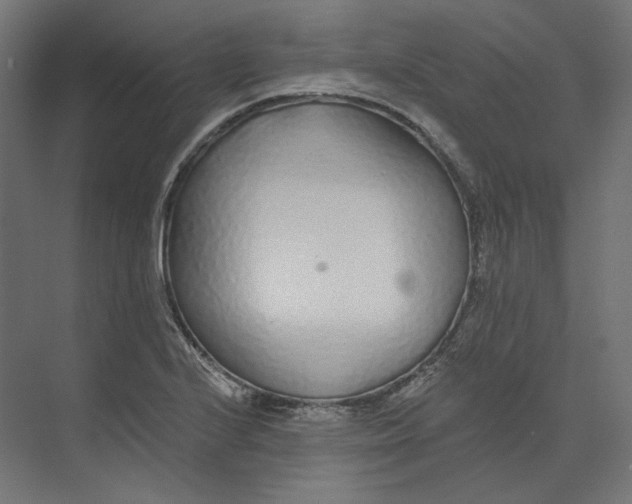 X0000073851224200609071558