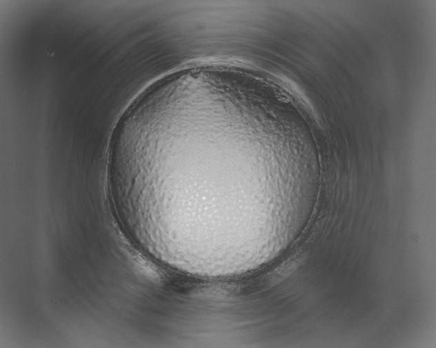 X0000073851228200609071558