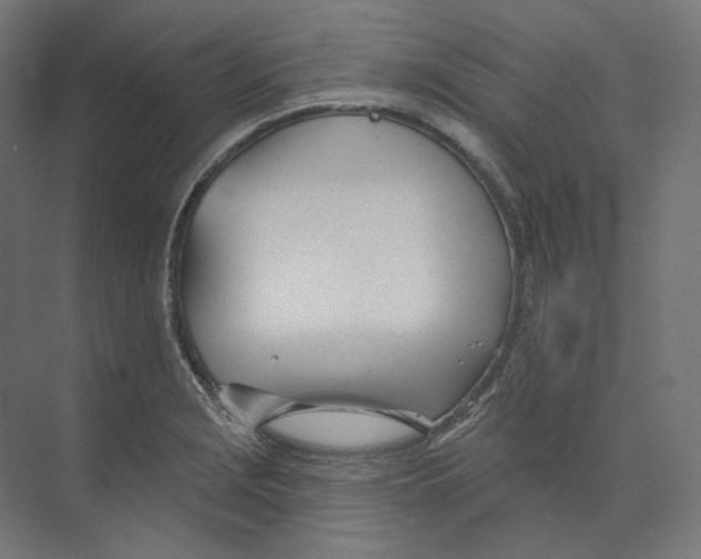 X0000073851229200609071558