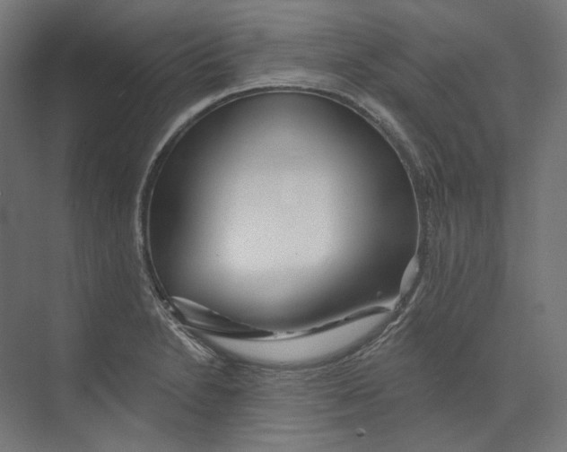 X0000073851230200609071558