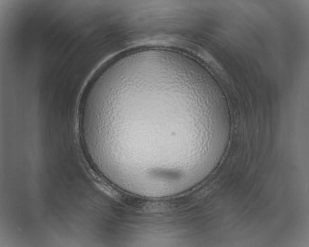 X0000073851232200609071558