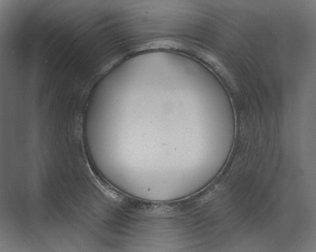 X0000073851233200609071558