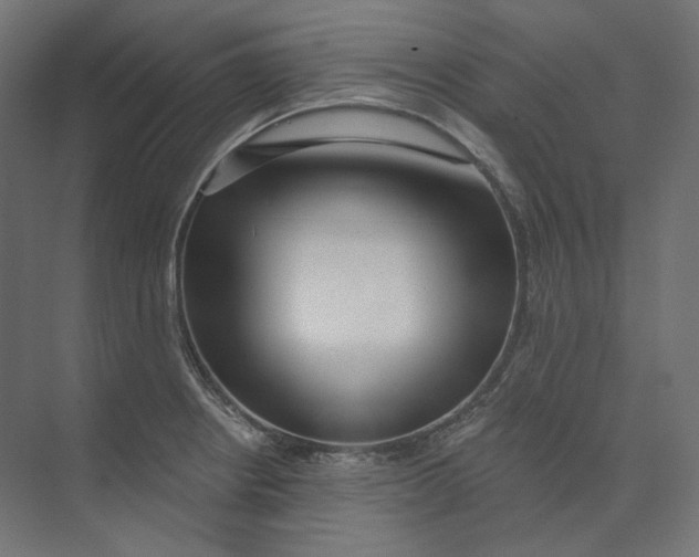 X0000073851234200609071558