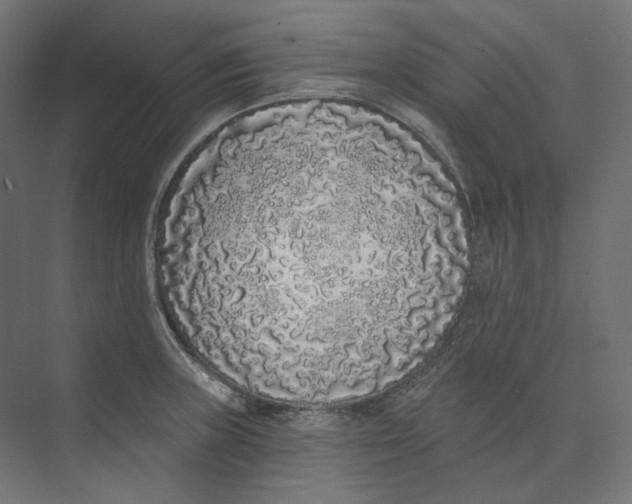 X0000073851235200609071558