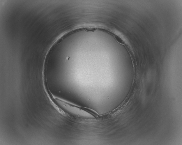 X0000073851237200609071558