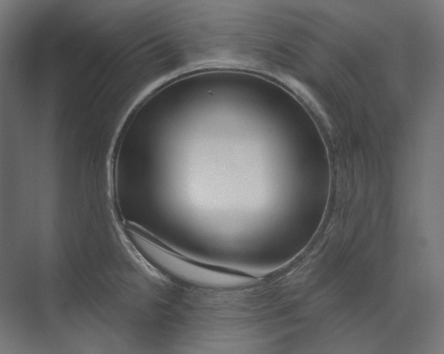 X0000073851238200609071558