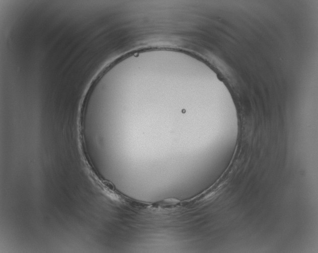 X0000073851240200609071559