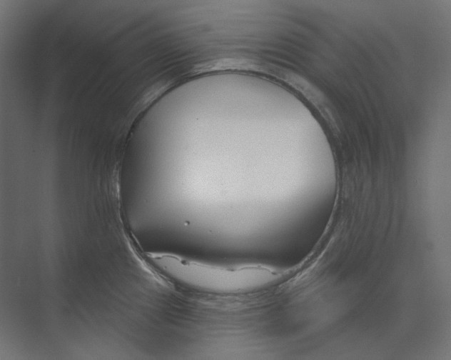 X0000073851241200609071559