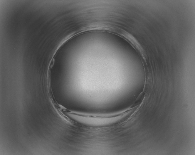 X0000073851242200609071559