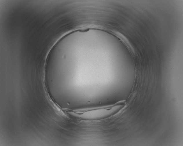 X0000073851244200609071559