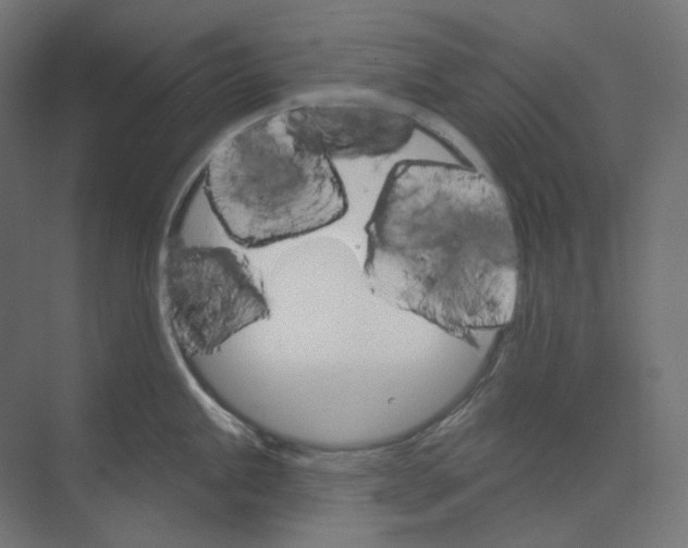 X0000073851245200609071559