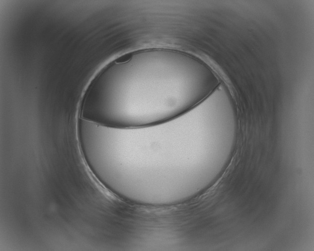 X0000073851246200609071559