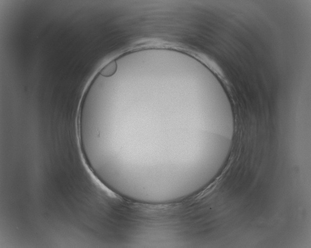 X0000073851247200609071559