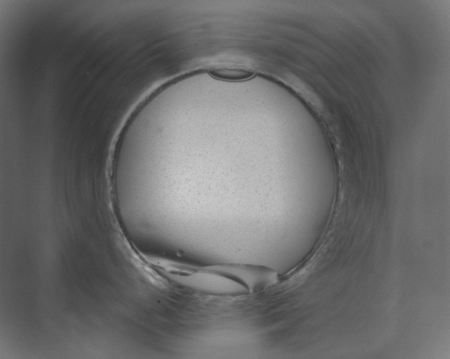 X0000073851248200609071559