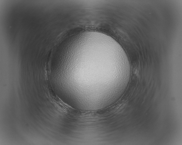 X0000073851252200609071558