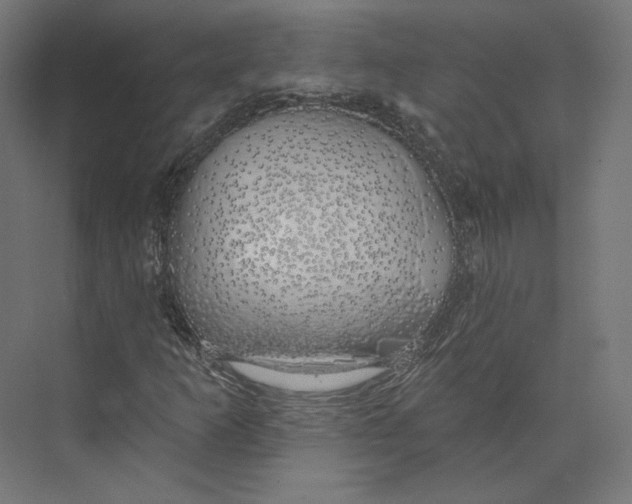 X0000073851253200609071558