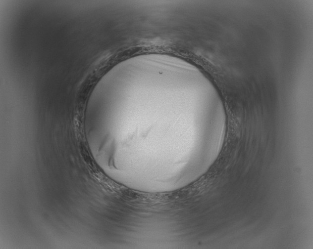 X0000073851254200609071558