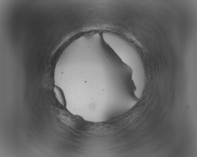 X0000073851256200609071558