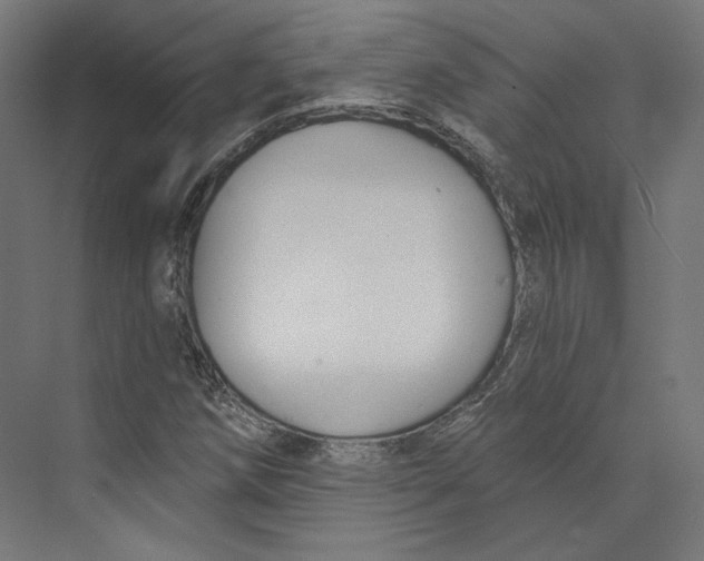 X0000073851258200609071558