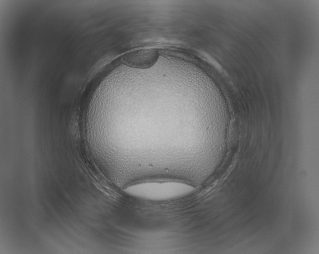 X0000073851259200609071558