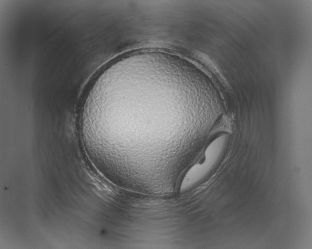 X0000073851260200609071558