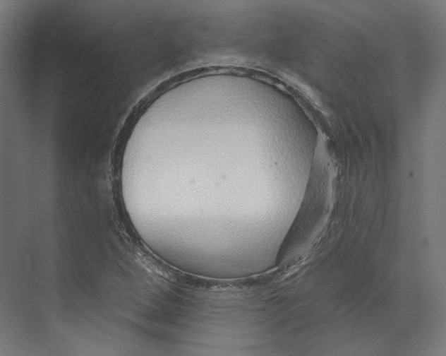 X0000073851264200609071558