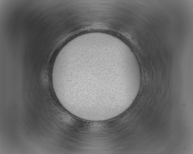 X0000073851266200609071558