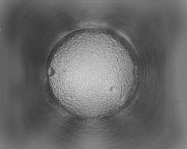 X0000073851267200609071558