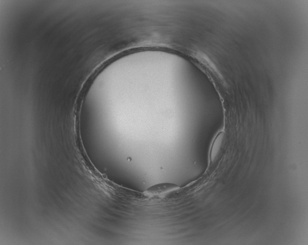 X0000073851268200609071558