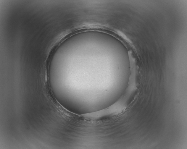 X0000073851269200609071558