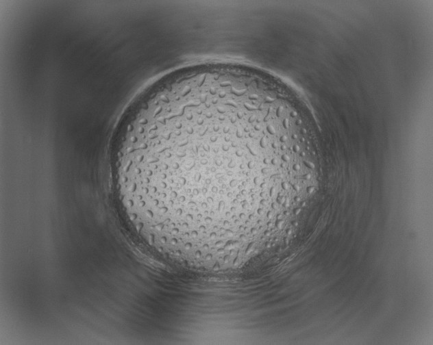 X0000073851271200609071557