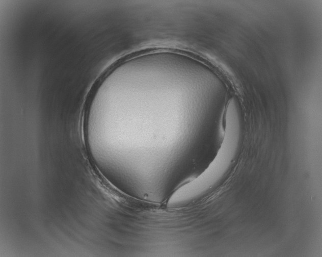 X0000073851272200609071557