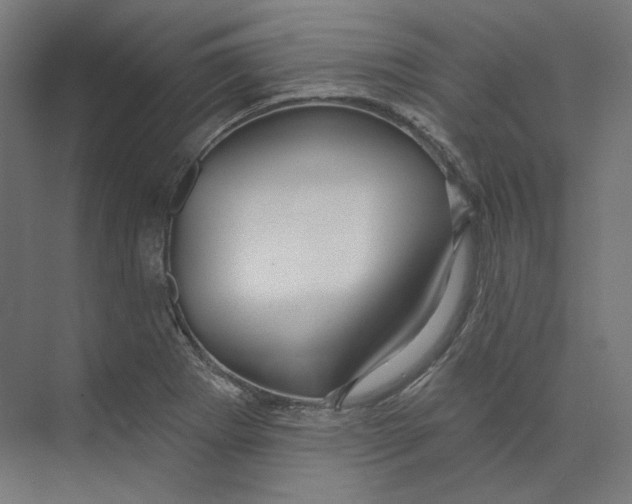 X0000073851273200609071557