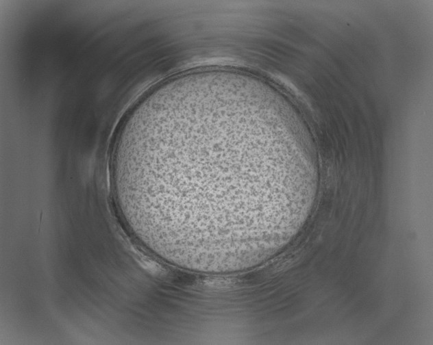 X0000073851274200609071557