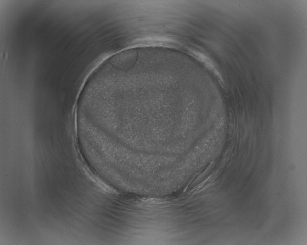 X0000073851275200609071557