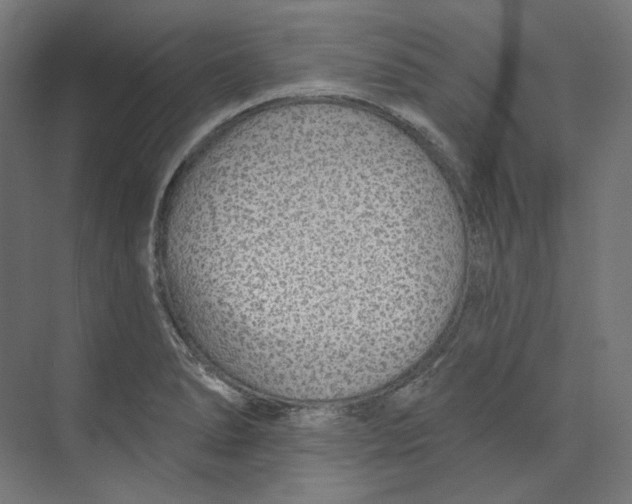 X0000073851278200609071557