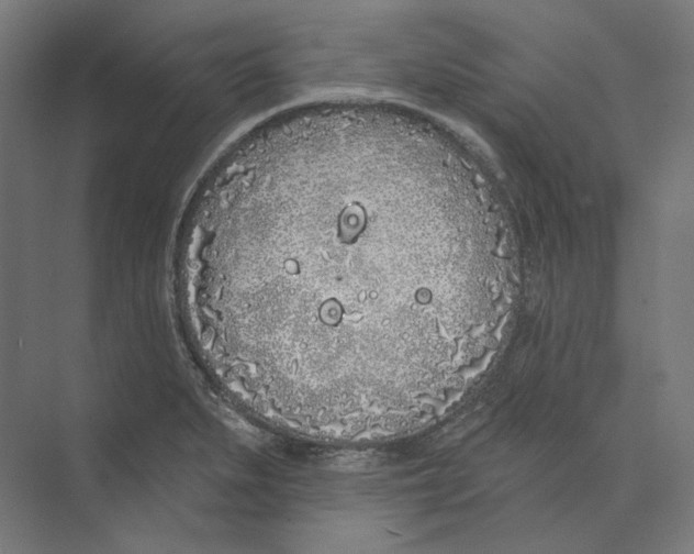 X0000073851279200609071557